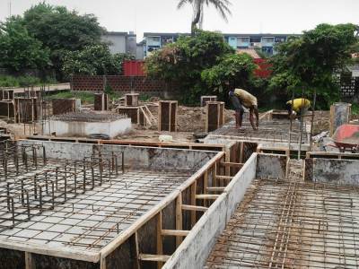 LUTH-Plant2